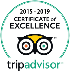 Trip Advisor