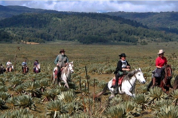 7 Days Bale Mountains Trekking